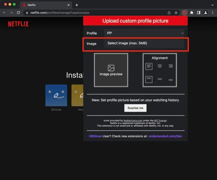 Select Custom Profile Picture for Netflix