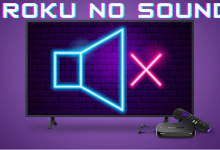 Roku No Sound