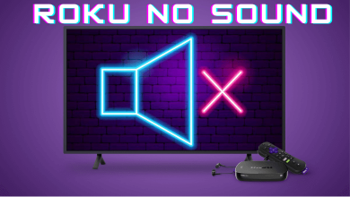 Roku No Sound