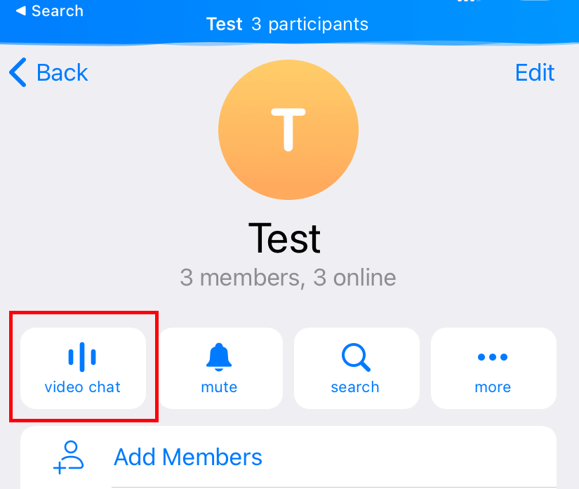 Share screen on Group chat