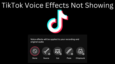 TikTok Voice Effects Not Showing