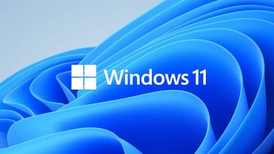 Windows 11 2022