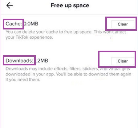 Clear TikTok cache