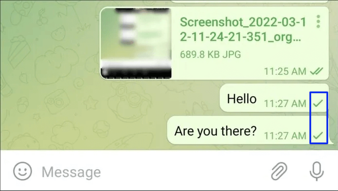 Check whether the message is delivered to find someone blocked you on Telegram