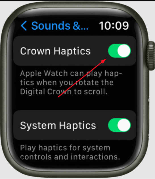 Select the toggle to turn off Crown Haptics
