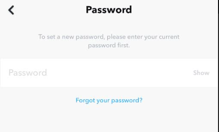 Enter your old password Snapchat password that you want to change