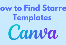 How to Find Starred Templates on Canva