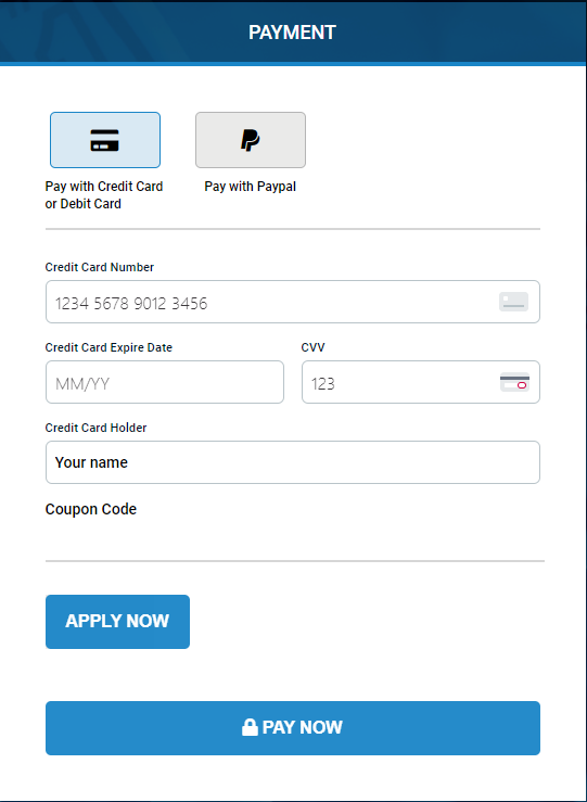 Enter the payment details