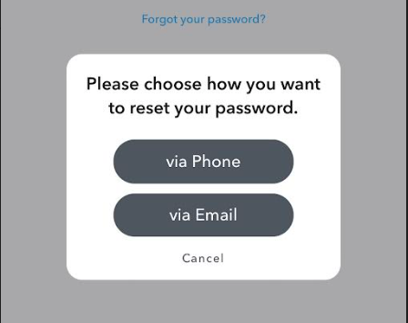 Select any one of the measure to reset your Snapchat password