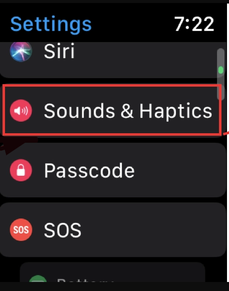 Select sound and Haptics option