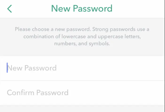 To Reset your Snapchat password