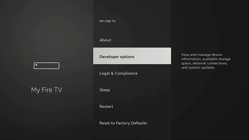 Choose the Developer Options.