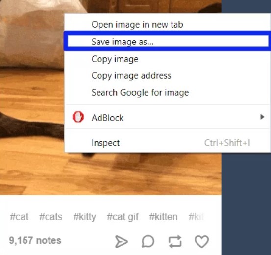 Save GIF from Tumblr desktop