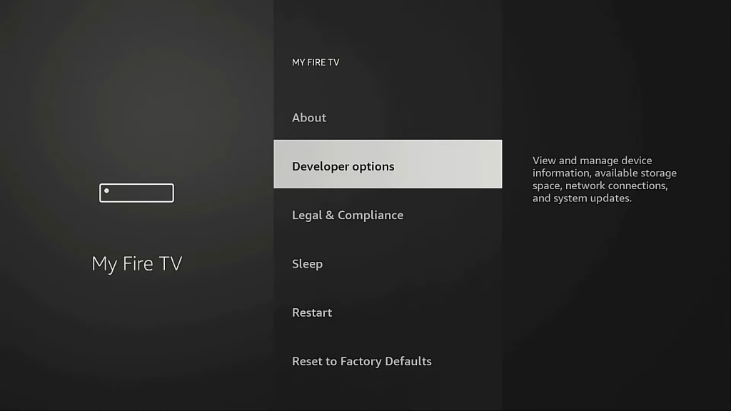 select Developer Options