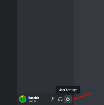 Discord User Settings