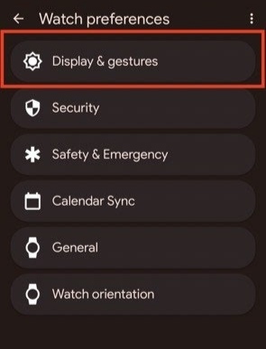 select Display & Gestures option.