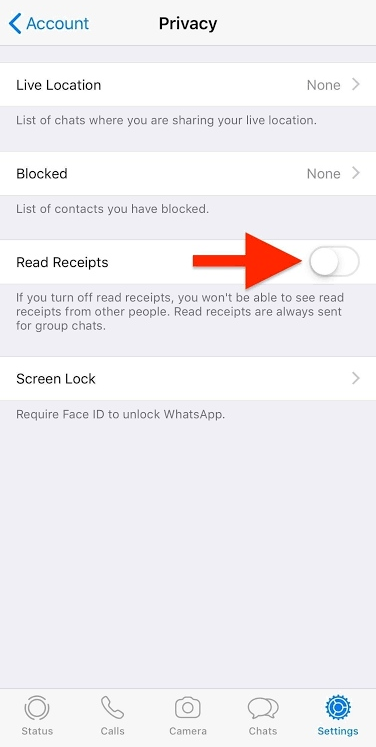 tap the toggle to turn off Read Receipts on WhatsApp 