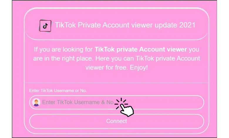 Private TikTok