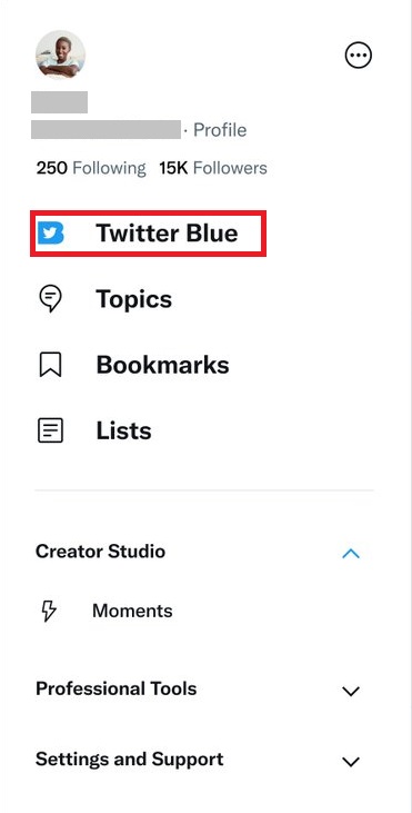 Twitter Blue on iOS