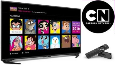 Cartoon Network on Firestick