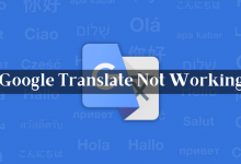 Google Translate not working