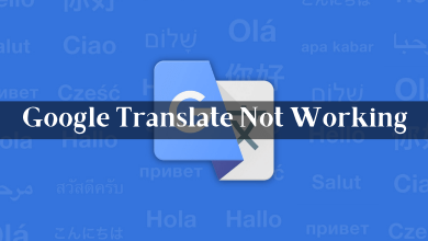 Google Translate not working