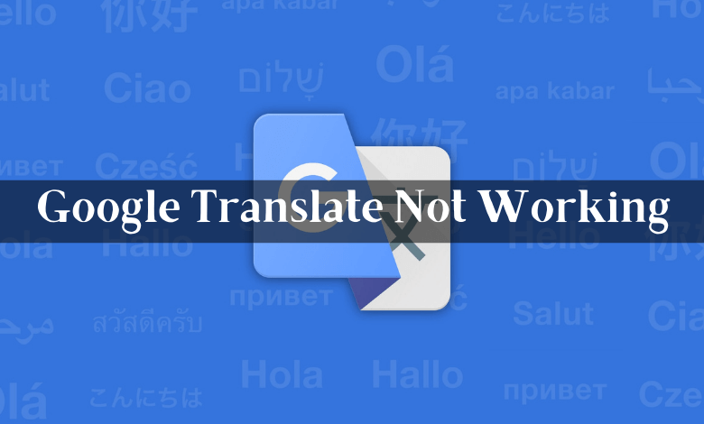 Google Translate not working