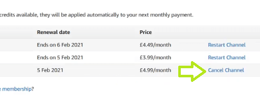 Click on Cancel Channel on Amazon. 