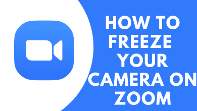 How to Freeze Your Camera on Zoom