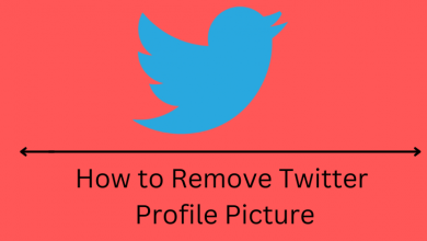 How to Remove Twitter Profile Picture