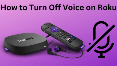 How to Turn Off Voice on Roku