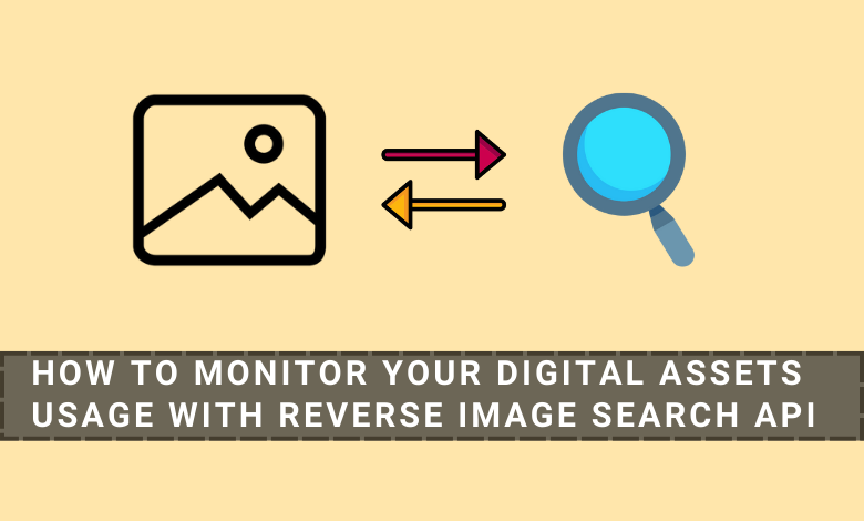 Reverse Image Search API