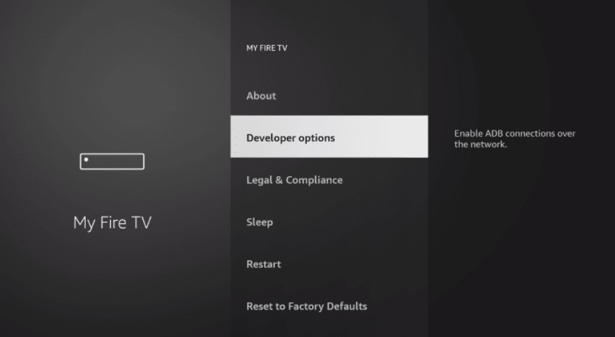 Developer Options in Firestick.