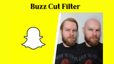 How to get Buzz Cut filer on Snapchat