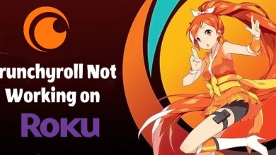 Crunchyroll Not Working on Roku