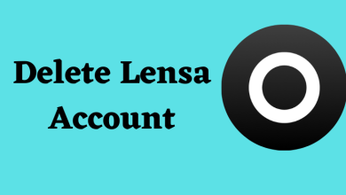Delete Lensa Account