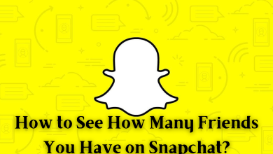 How to see how many friends you have on Snapchat