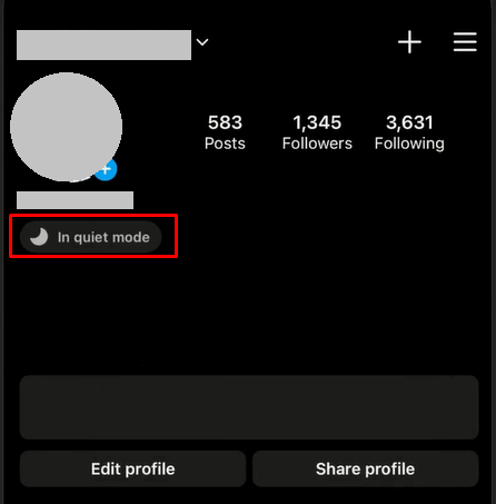 In Quiet Mode notification under your username