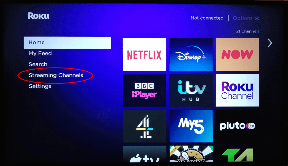 Select Streaming Channels from the home screen
