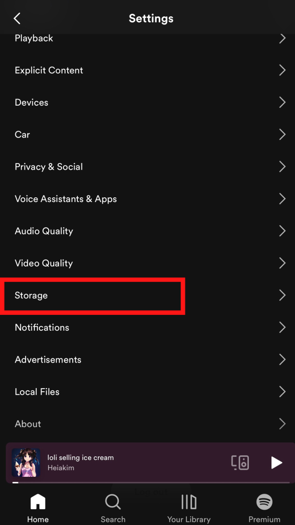 Choose Storage