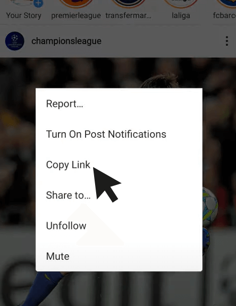 Choose Copy Link