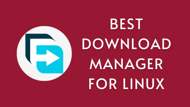 Download Manager for Linux