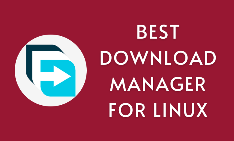 Download Manager for Linux