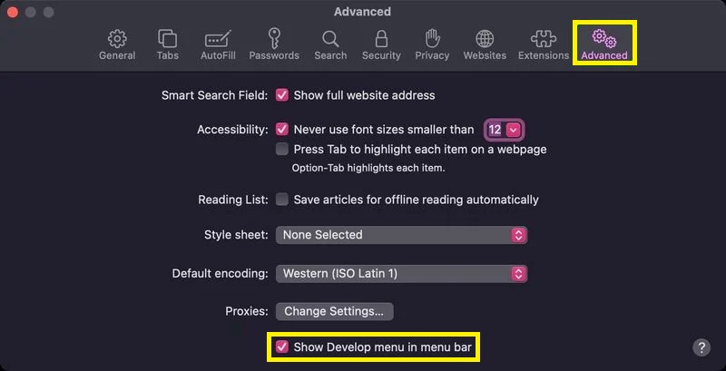 Select Advanced tab and mark Show Develop menu in menu bar