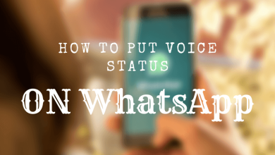 How to Put Voice Status on WhatsApp.
