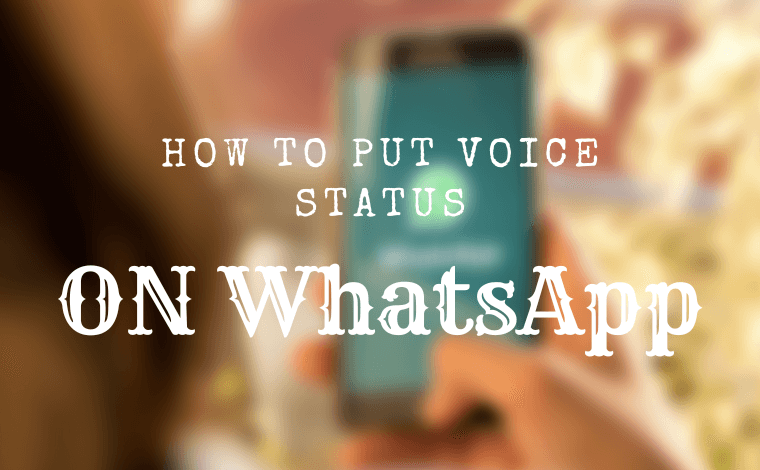 How to Put Voice Status on WhatsApp.