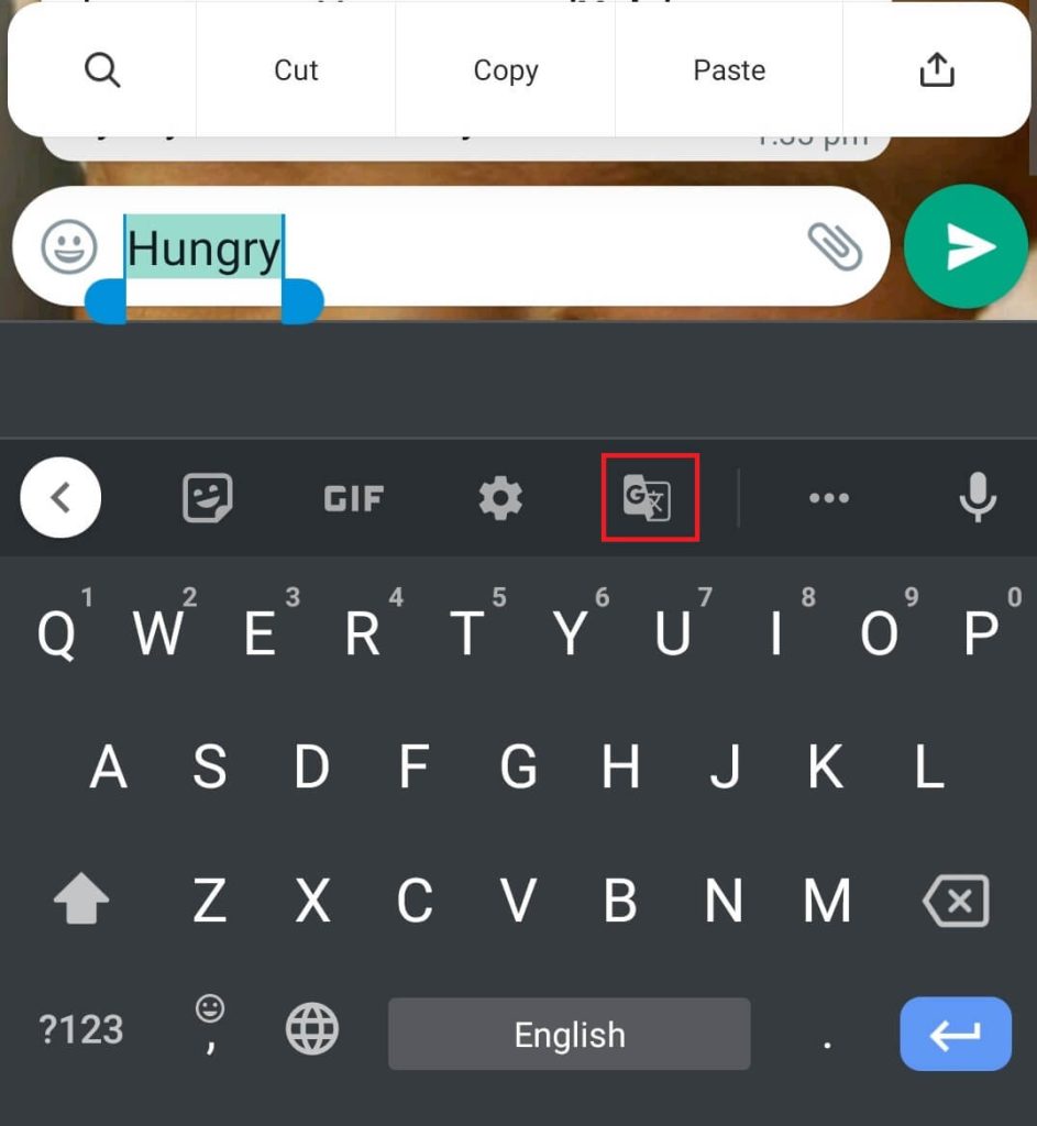 Tap on the Google Translate icon to Translate WhatsApp Messages