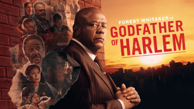 How to Watch Godfather of Harlem Season 3