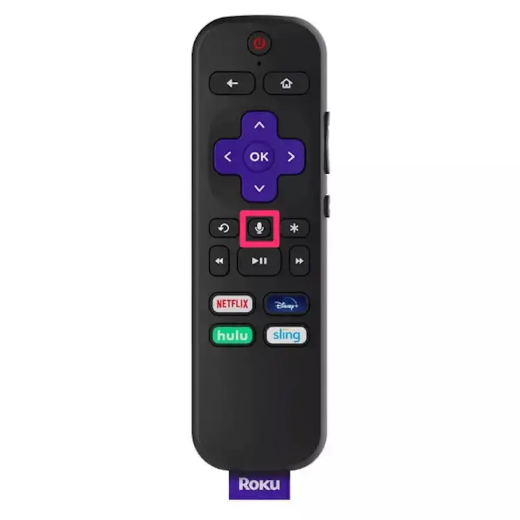 Set Sleep Timer on Roku using Voice Command