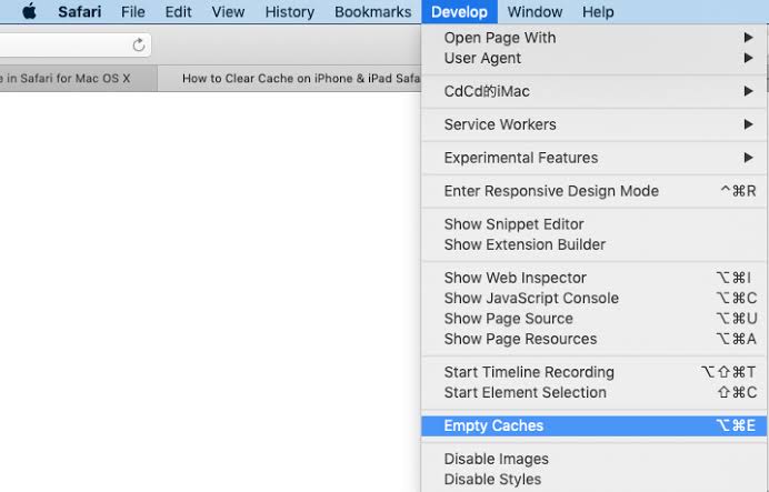 Select Empty Caches to clear cache on Google Maps